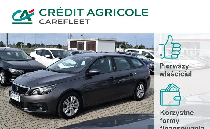 samochody osobowe Peugeot 308 cena 48200 przebieg: 120411, rok produkcji 2019 z Bytom Odrzański